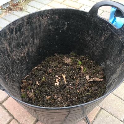 gutter-debris